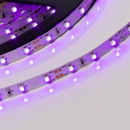Светодиодная лента Arlight 4,8W/m 60LED/m 3528SMD фиолетовый 5M  - 2