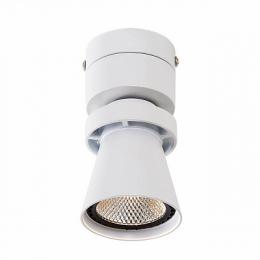 Изображение продукта Потолочный светодиодный светильник Citilux Дубль-1 
