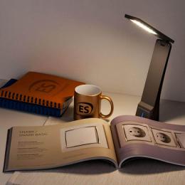 Настольная лампа Elektrostandard TL90450 Desk черный/серый  - 5