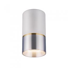 Изображение продукта Потолочный светильник Elektrostandard DLN106 GU10 белый/серебро 