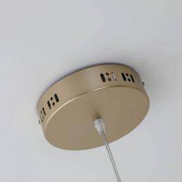 Подвесной светодиодный светильник Favourite Evolve  - 4