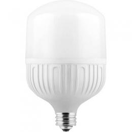 Лампа светодиодная Feron E27-E40 50W 6400K Цилиндр Матовая LB-65  - 4