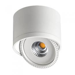 Изображение продукта Потолочный светодиодный светильник Novotech Gesso 