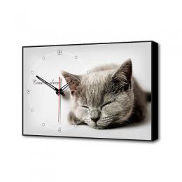 Изображение продукта Настенные часы Серая кошка Timebox Toplight 37х60х4см 