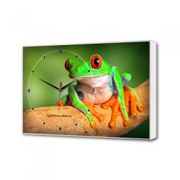 Изображение продукта Настенные часы Зеленная лягушка Timebox Toplight 37х60х4см 