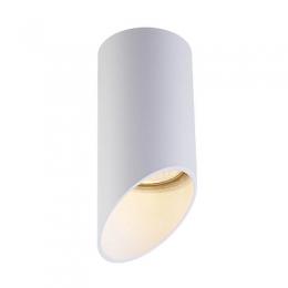 Изображение продукта Потолочный светильник Zumaline Tubia 