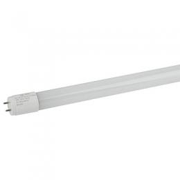 Изображение продукта Лампа светодиодная ЭРА G13 10W 6500K матовая  Б0032975 